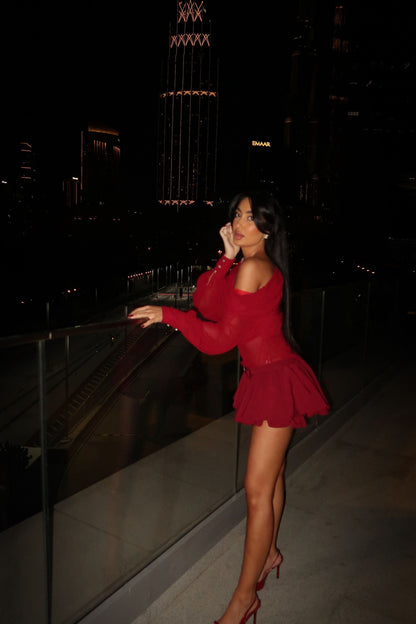 Dendy - Long-Sleeve Top and Skirt Set